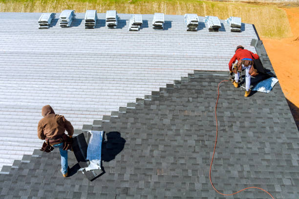 Best Gutter Installation and Roofing  in Walce Ridge, LA