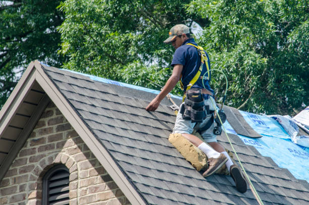 Trusted Wallace Ridge, LA Roofing Contractor Experts
